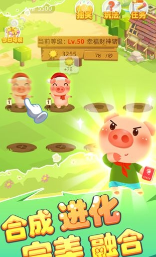 全民养猪场