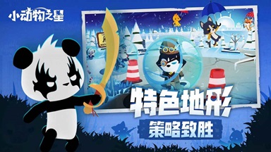 小动物之星