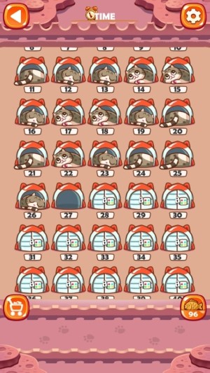 迷宫猫rookie