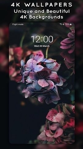 4k wallpapers汉化版动态壁纸