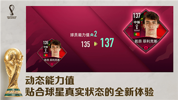 fifa足球世界国际服