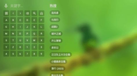 老三影视