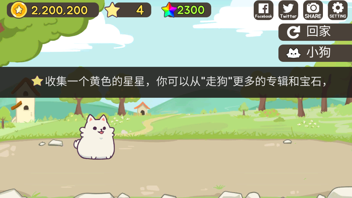喂养小狗
