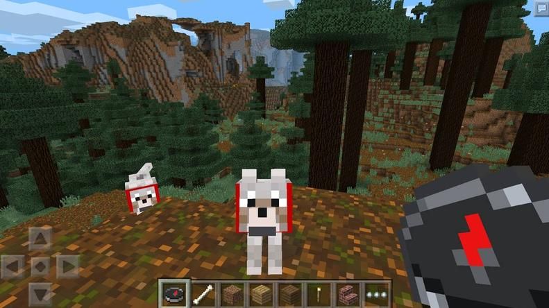 我的世界 1.14.0.4版