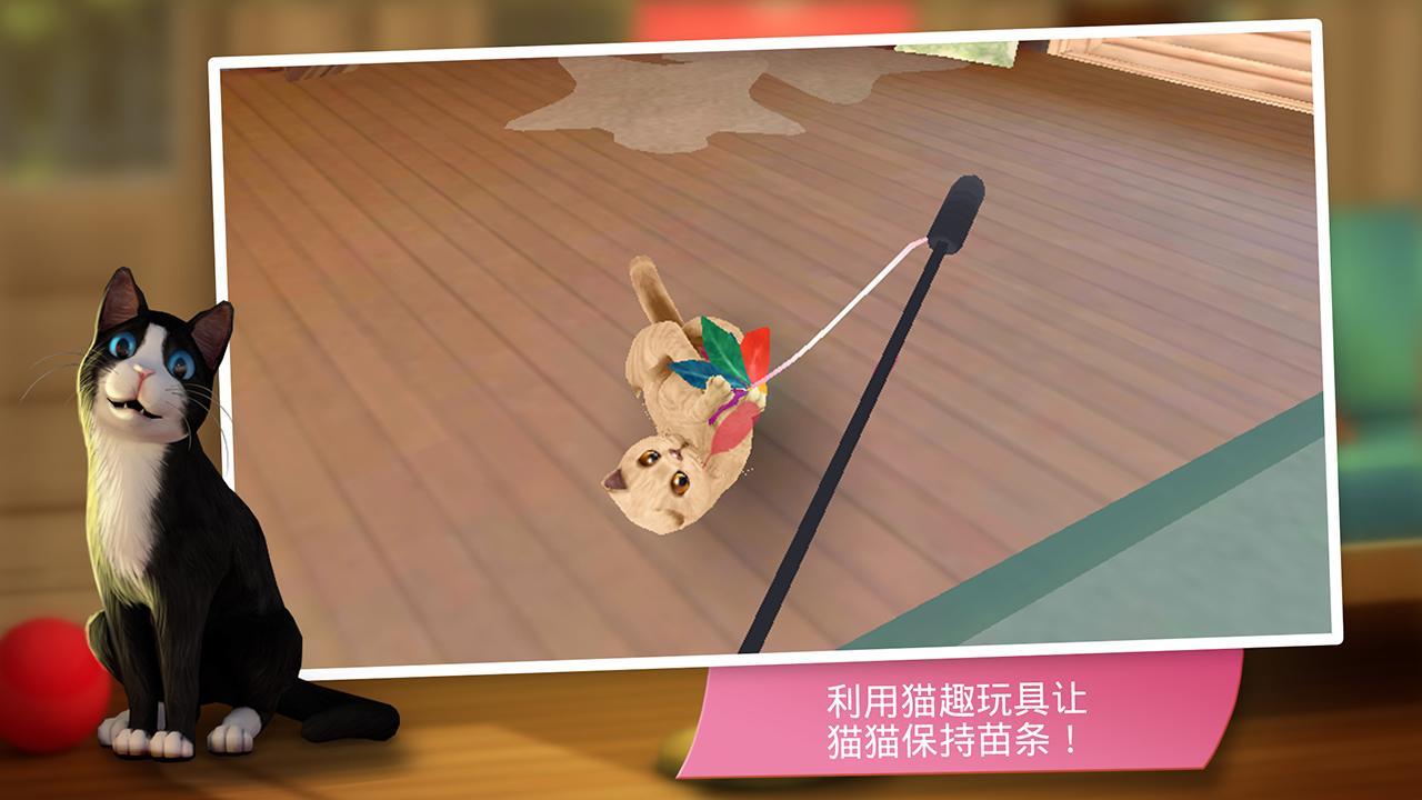 猫舍