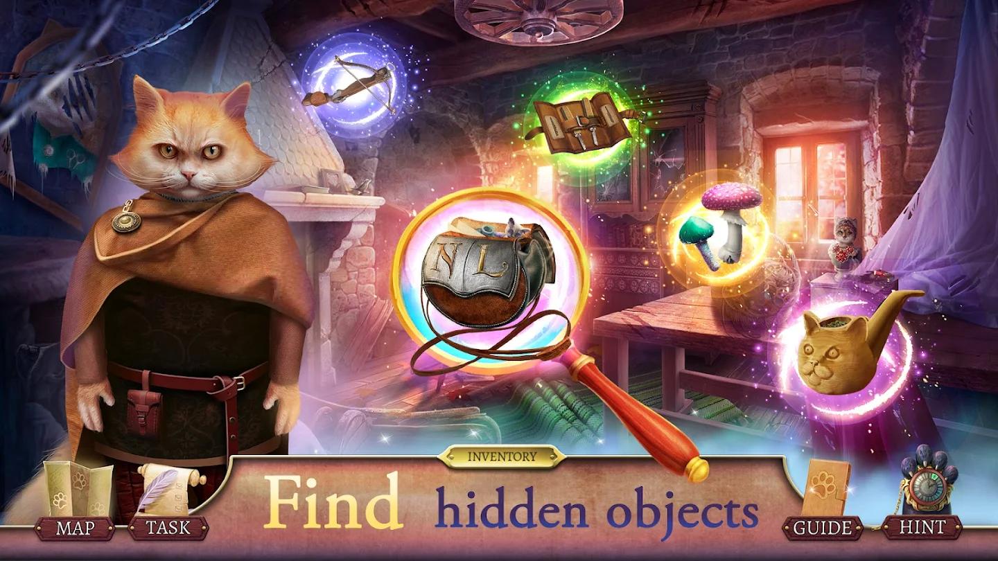 骑士猫的神秘面纱