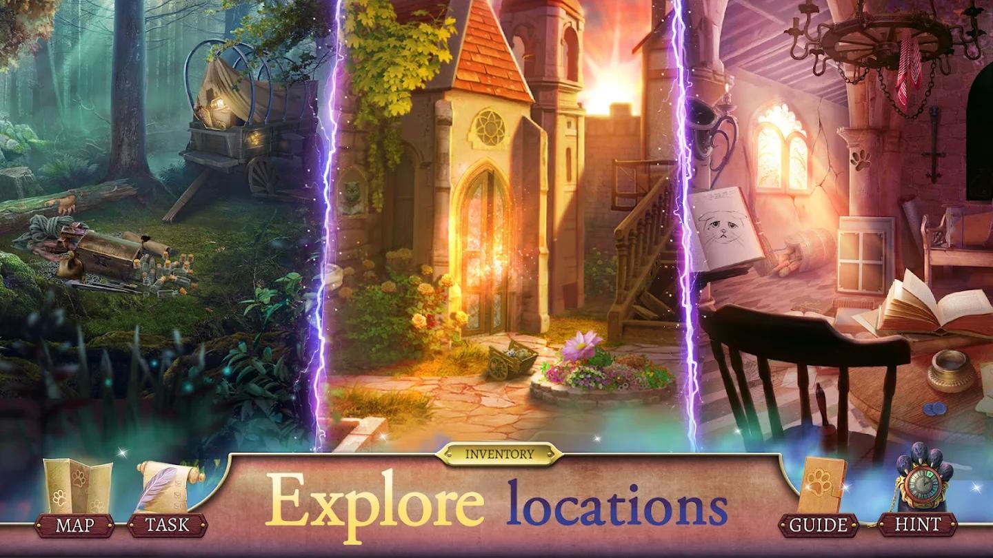 骑士猫的神秘面纱