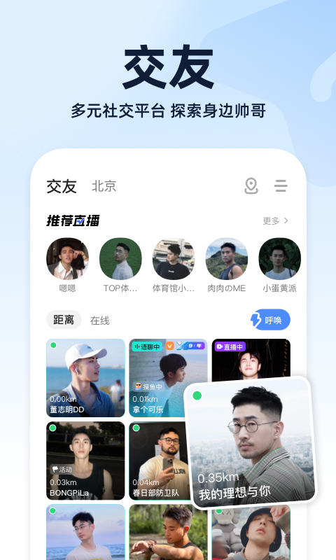 小蓝鸟