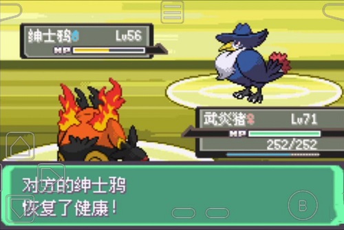 口袋妖怪